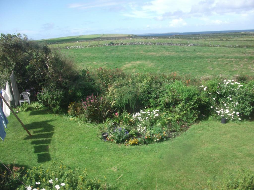 Fuchsia House Bed And Breakfast Connemara Ренвайл Экстерьер фото