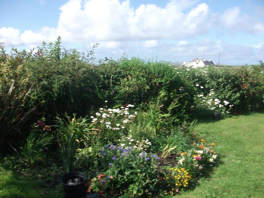 Fuchsia House Bed And Breakfast Connemara Ренвайл Экстерьер фото
