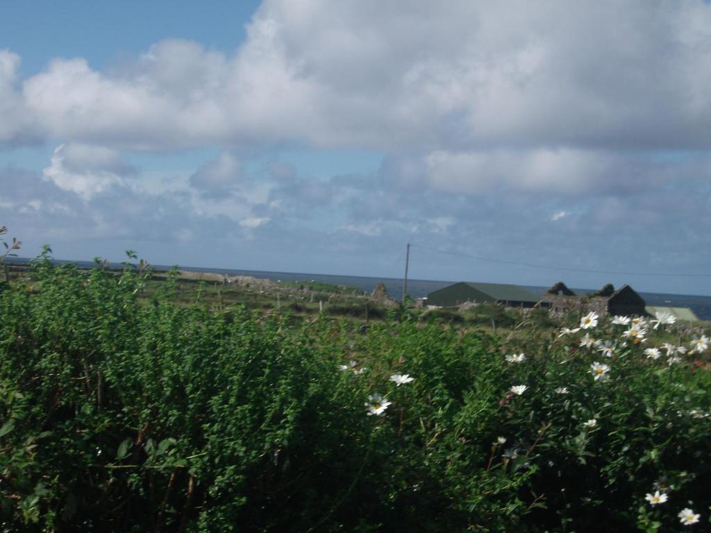 Fuchsia House Bed And Breakfast Connemara Ренвайл Экстерьер фото